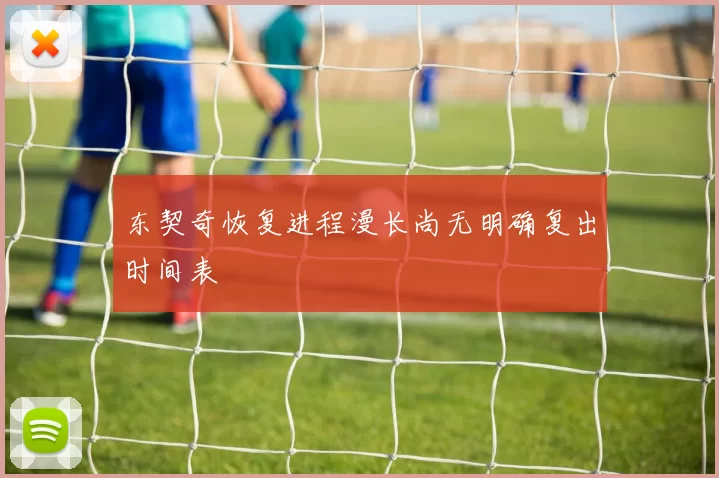 东契奇恢复进程漫长尚无明确复出时间表